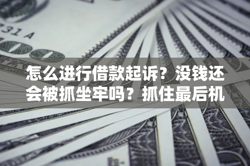 济南怎么进行借款起诉？没钱还会被抓坐牢吗？抓住最后机会！