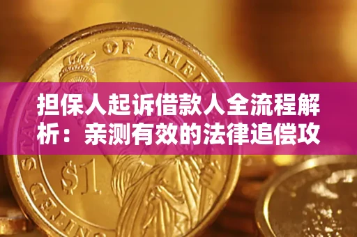 济南担保人起诉借款人全流程解析：亲测有效的法律追偿攻略