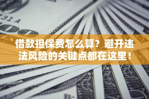 济南借款担保费怎么算？避开违法风险的关键点都在这里！